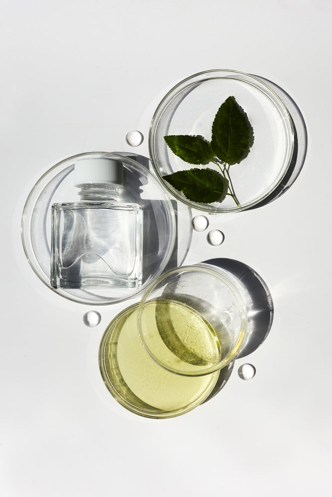 petri-dishes-containing-fragrance-ingredients