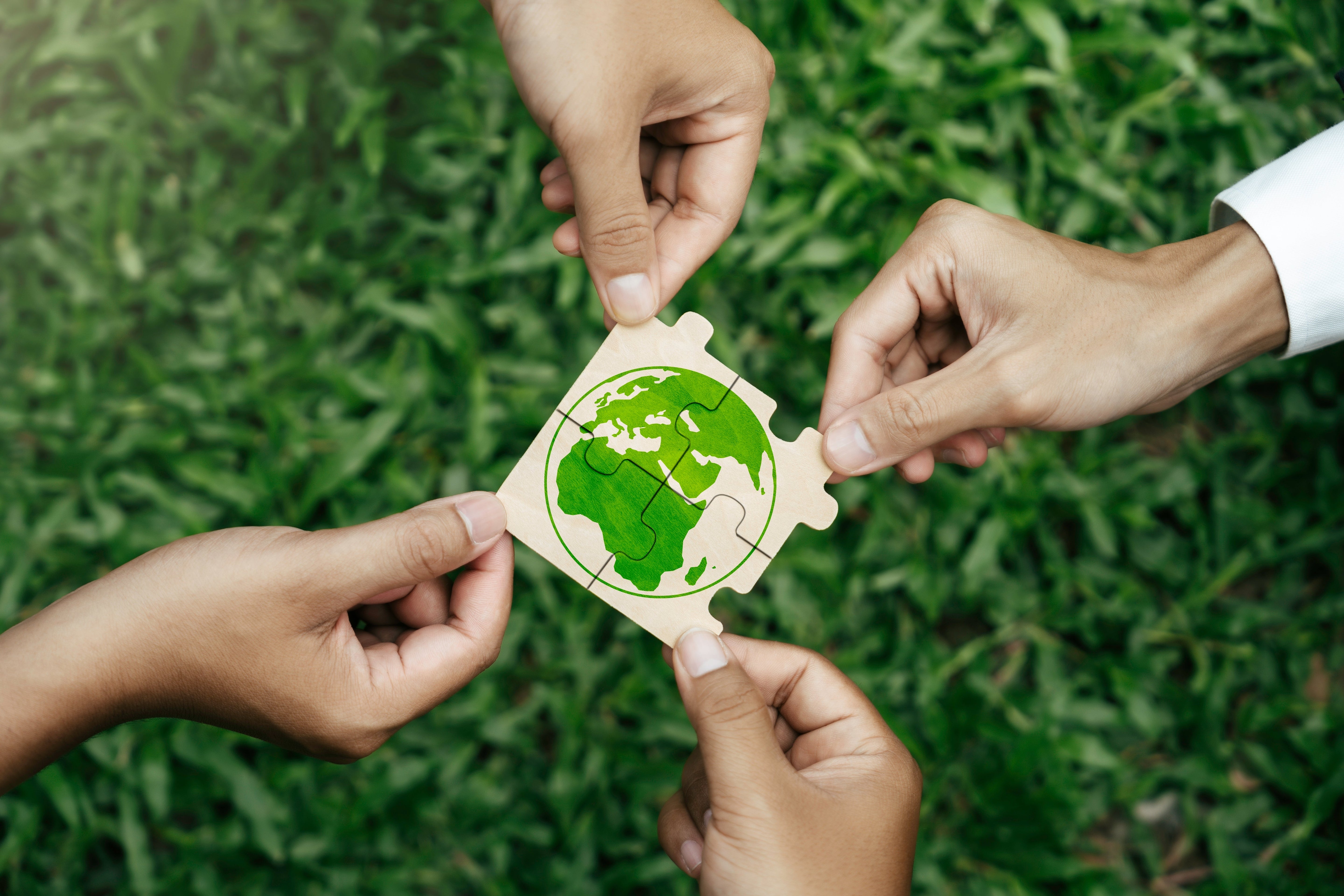30 Facts About Sustainability to Take Seriously